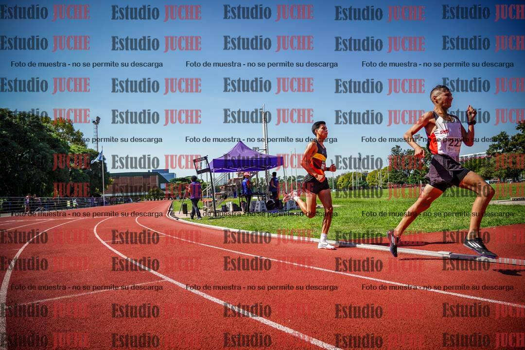 Fotos de los 800 m llanos de varones
