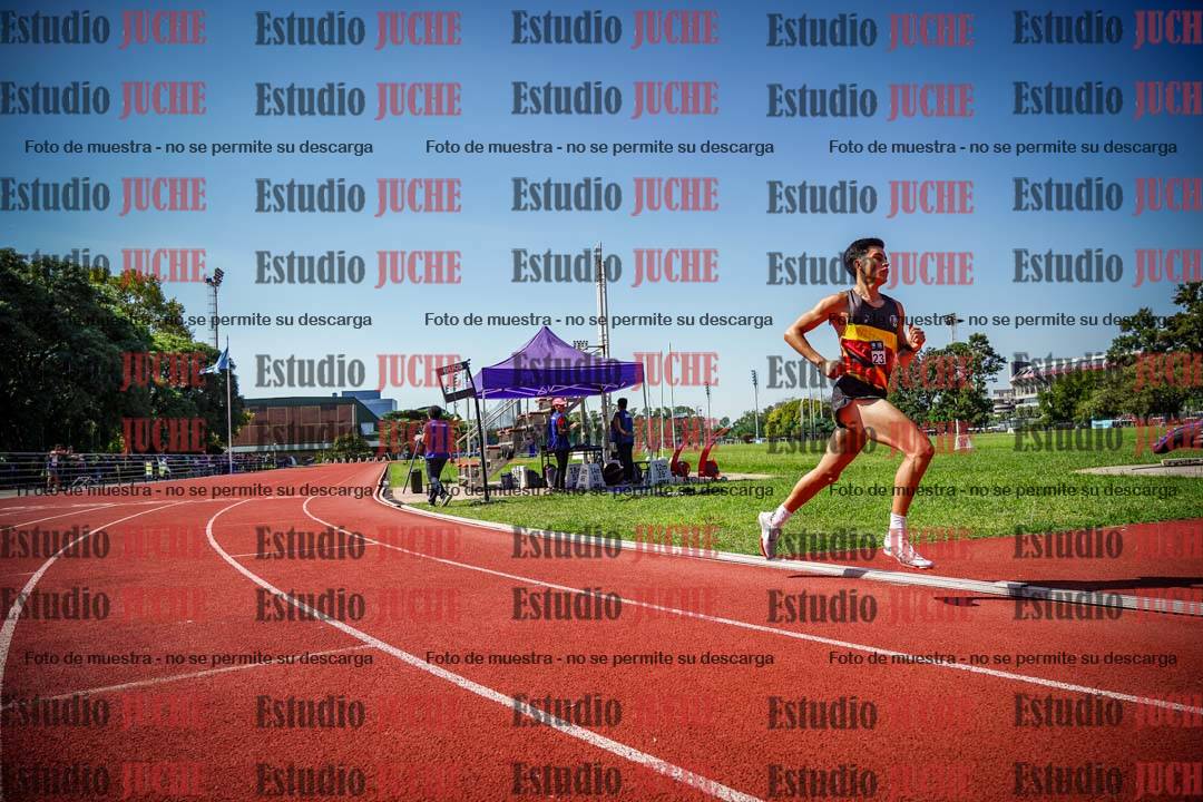 Fotos de los 800 m llanos de varones