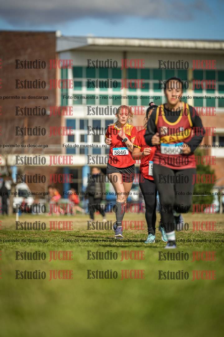 Fotos en el circuito