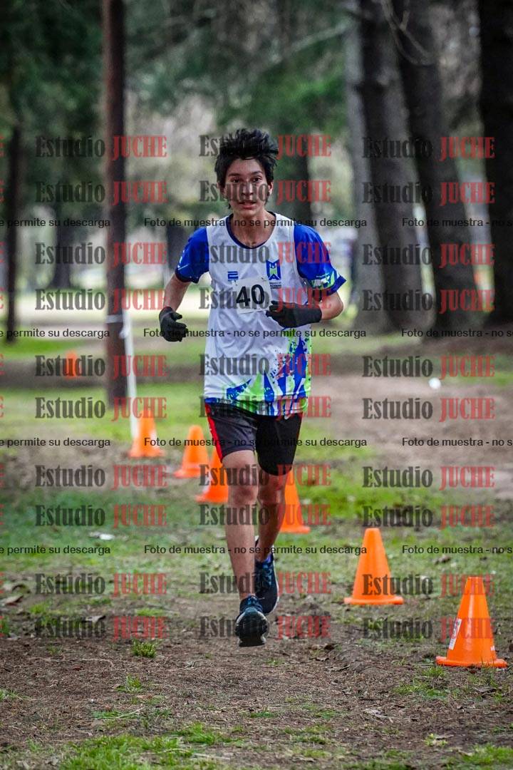 Fotos en el circuito