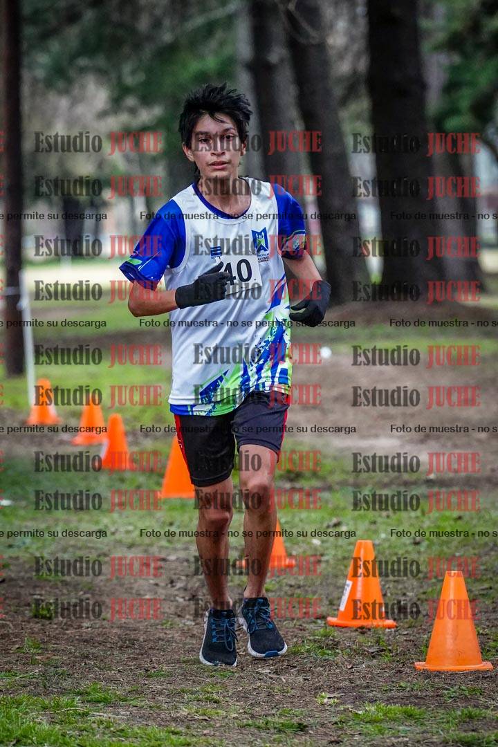 Fotos en el circuito