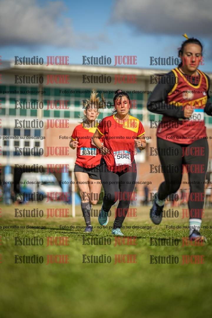 Fotos en el circuito