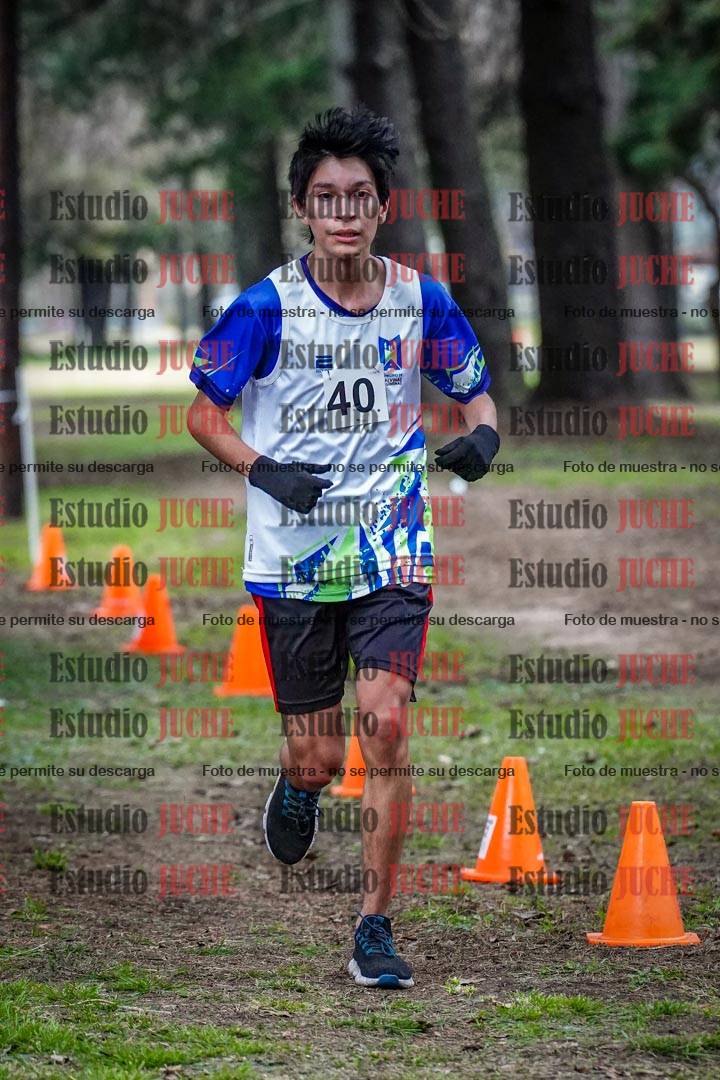 Fotos en el circuito