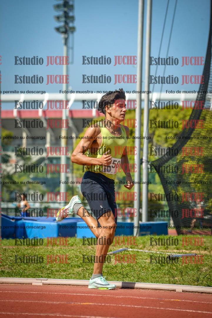 Fotos de los 800 m llanos de varones