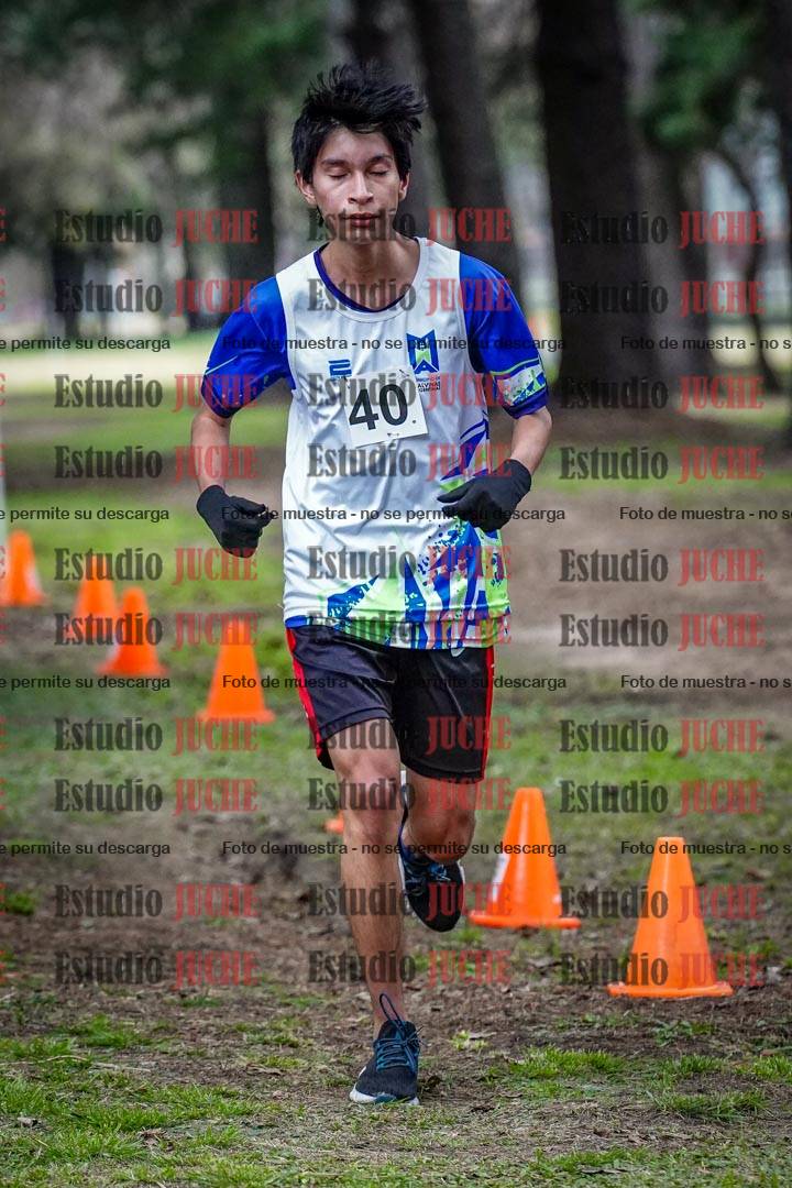 Fotos en el circuito