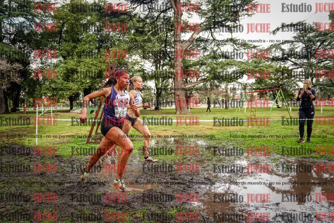Fotos en el circuito