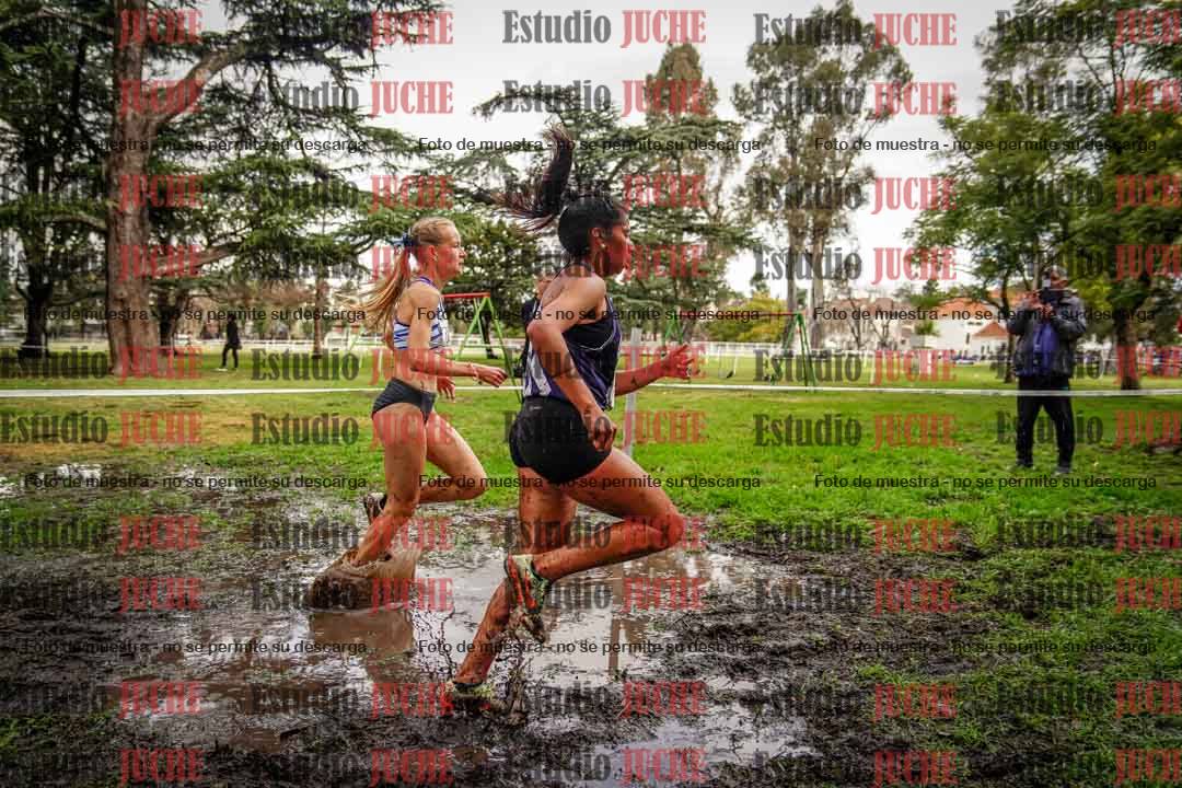 Fotos en el circuito