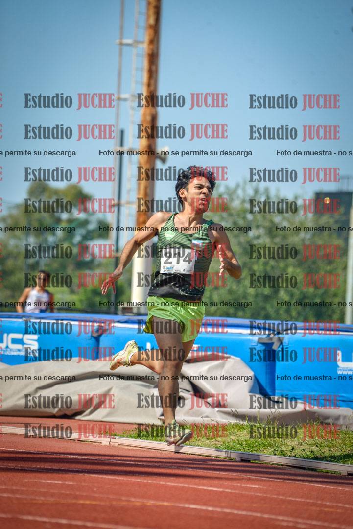 Fotos de los 800 m llanos de varones