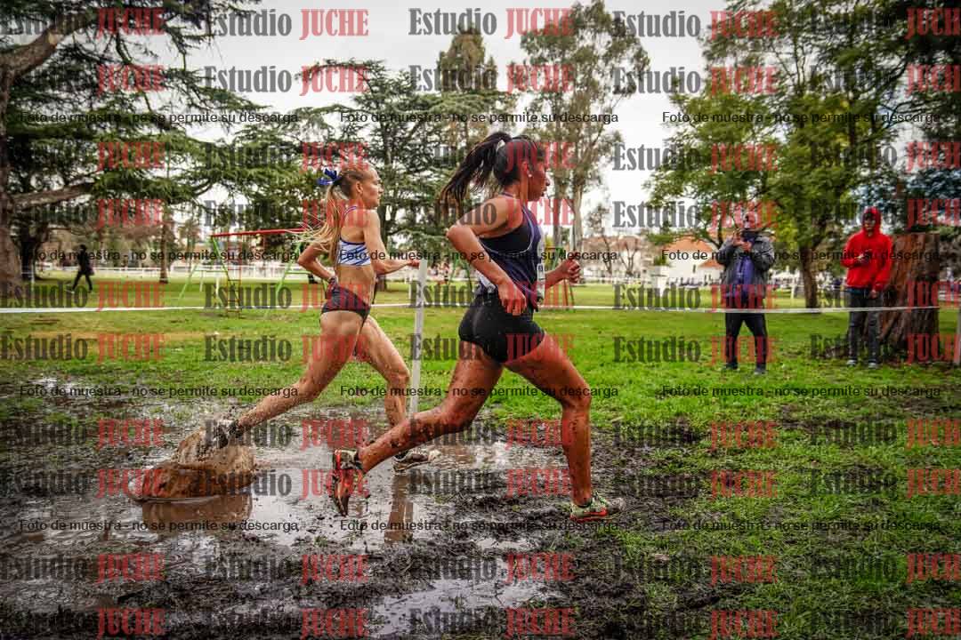 Fotos en el circuito
