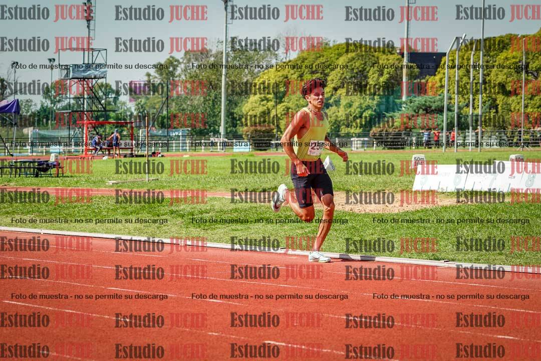 Fotos de los 800 m llanos de varones