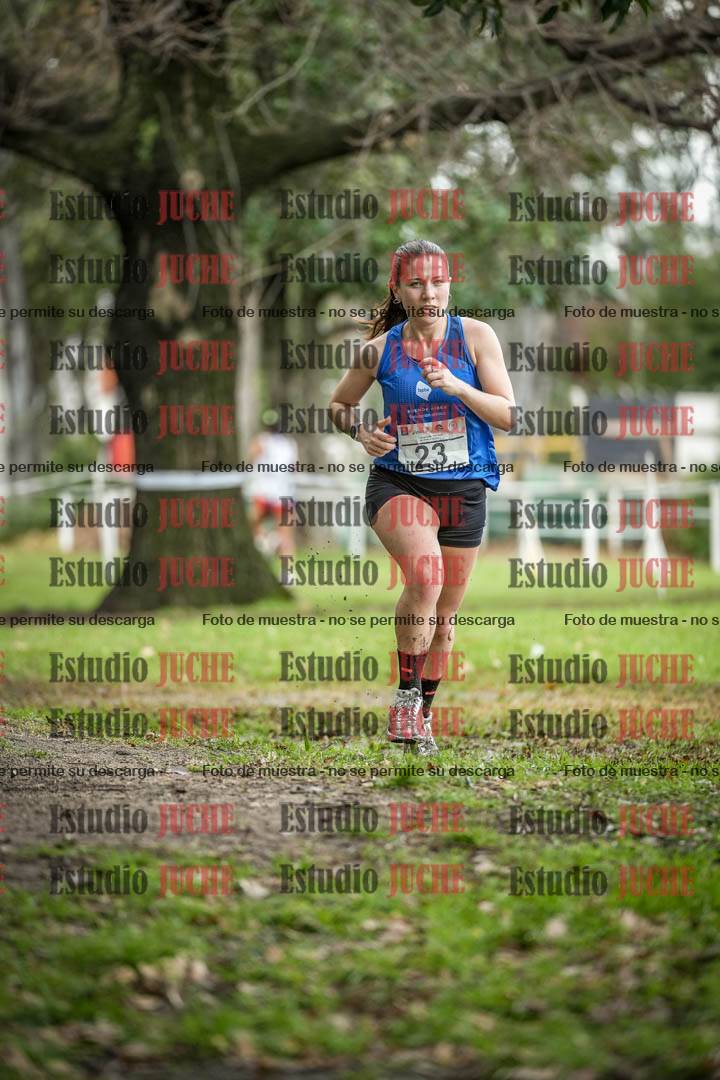 Fotos en el circuito