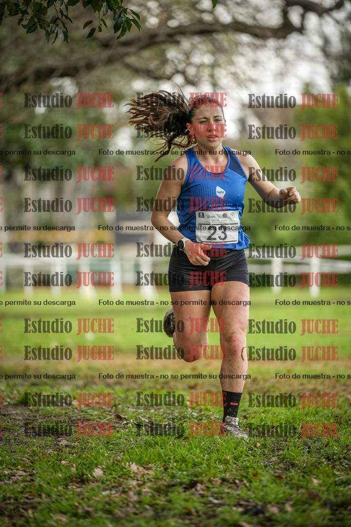 Fotos en el circuito