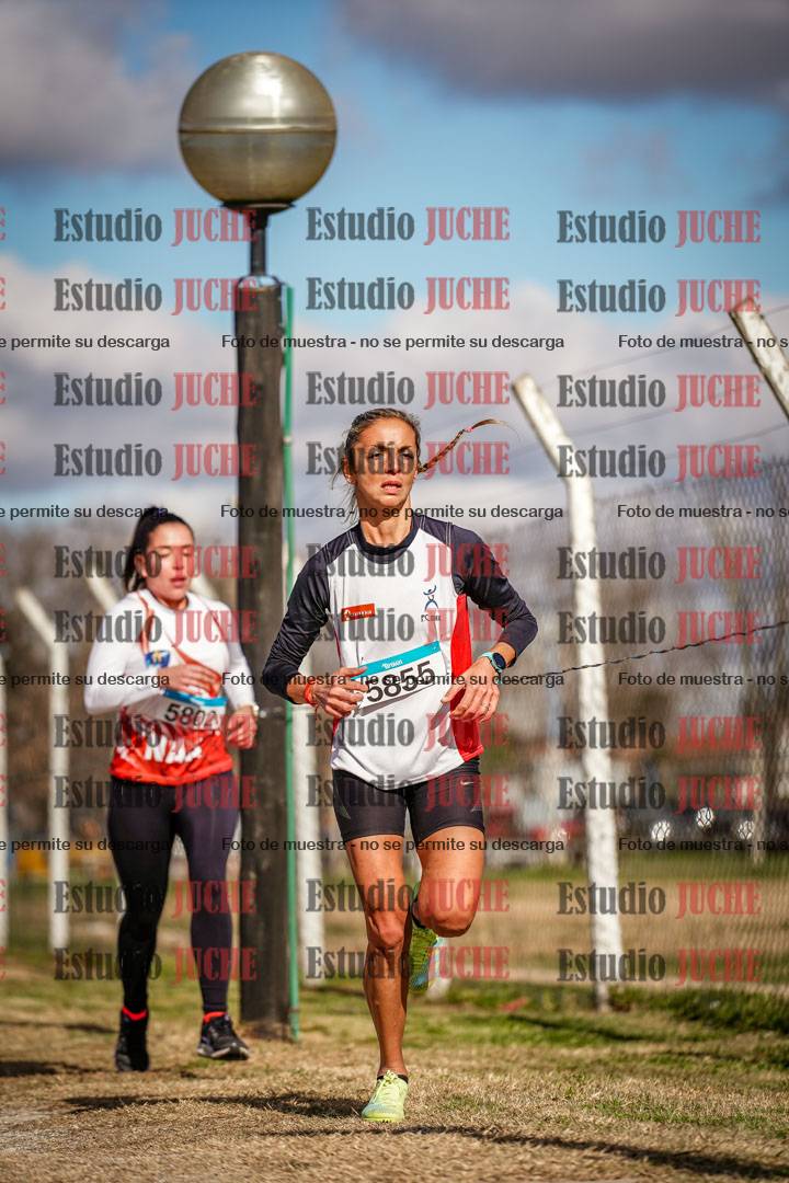 Fotos en el circuito