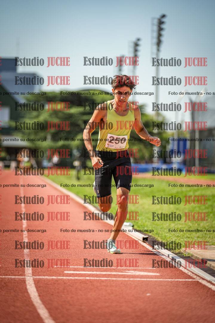 Fotos de los 800 m llanos de varones