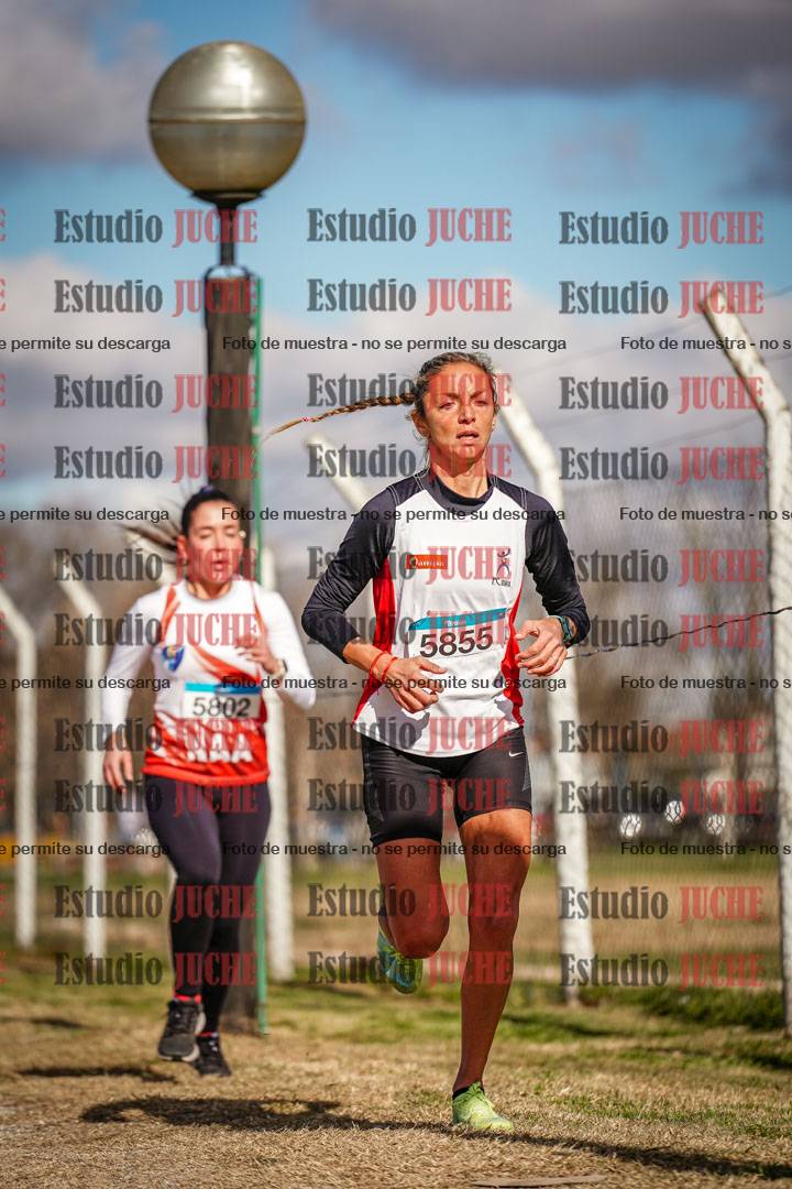 Fotos en el circuito