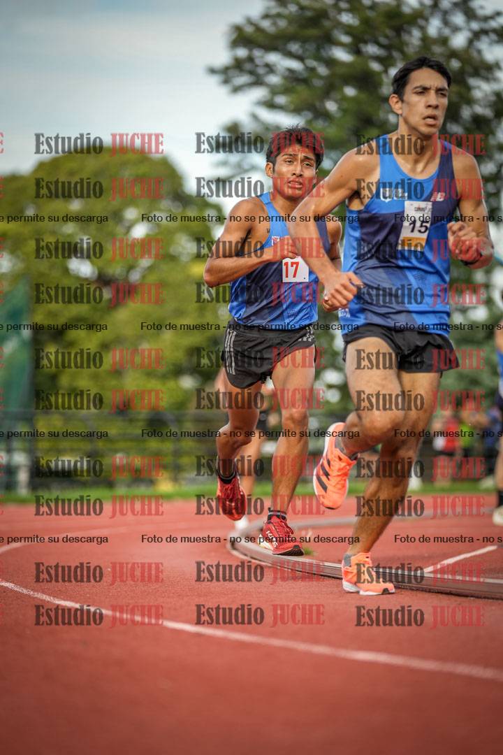 Fotos de los 5000 m llanos