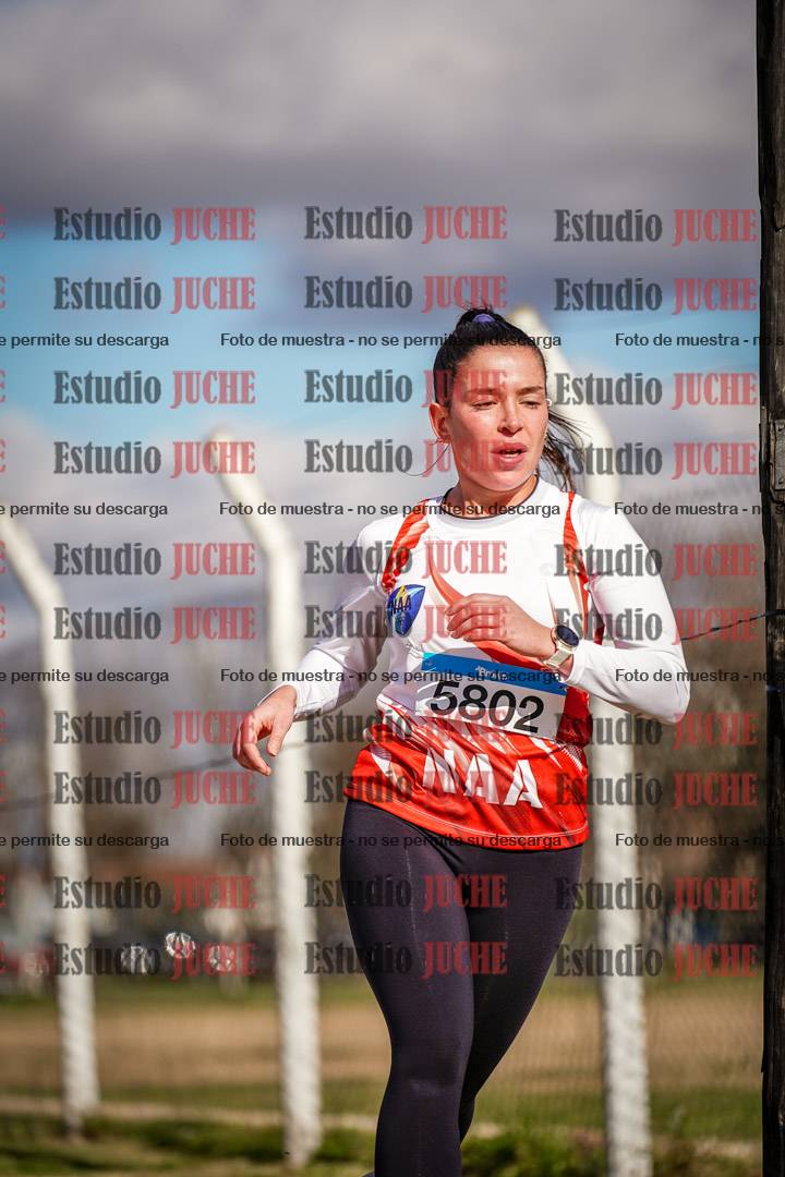 Fotos en el circuito