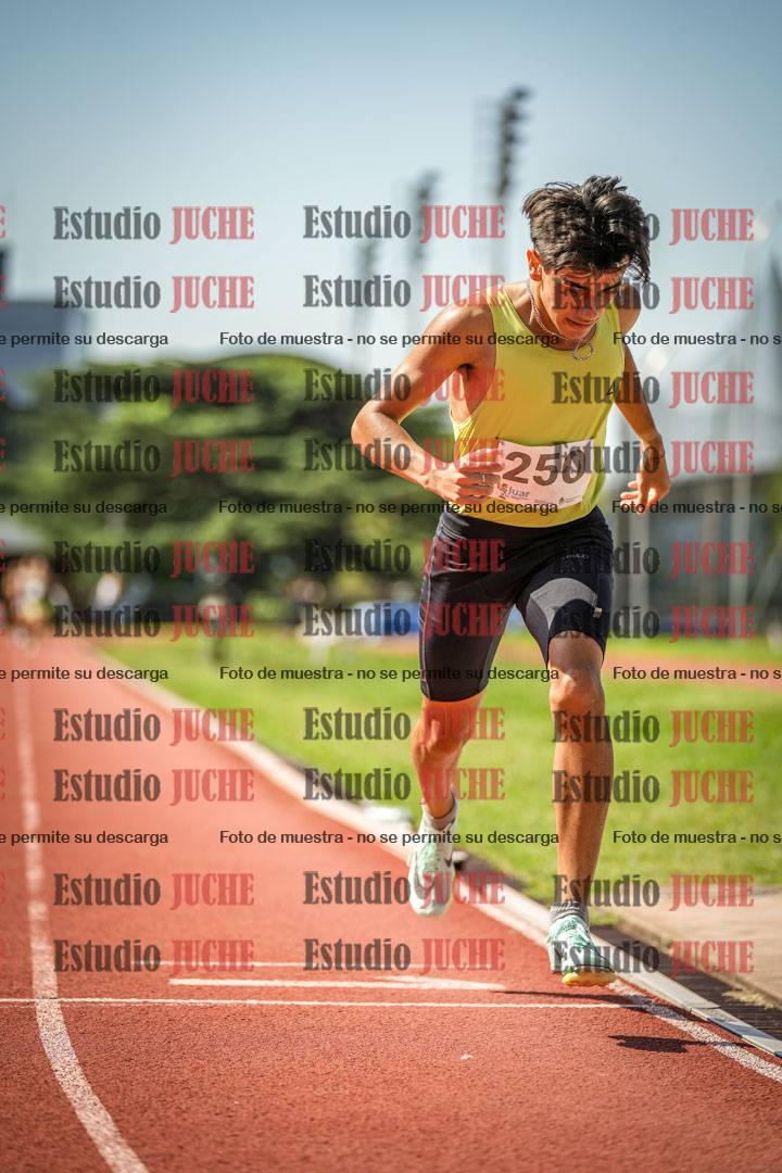 Fotos de los 800 m llanos de varones