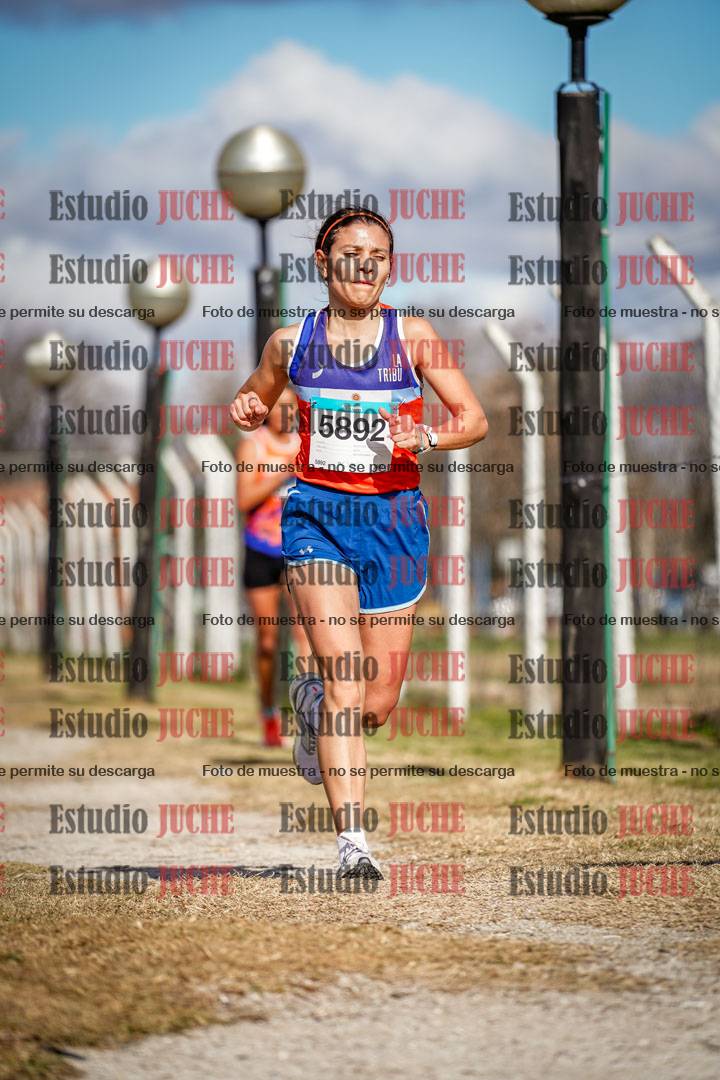 Fotos en el circuito