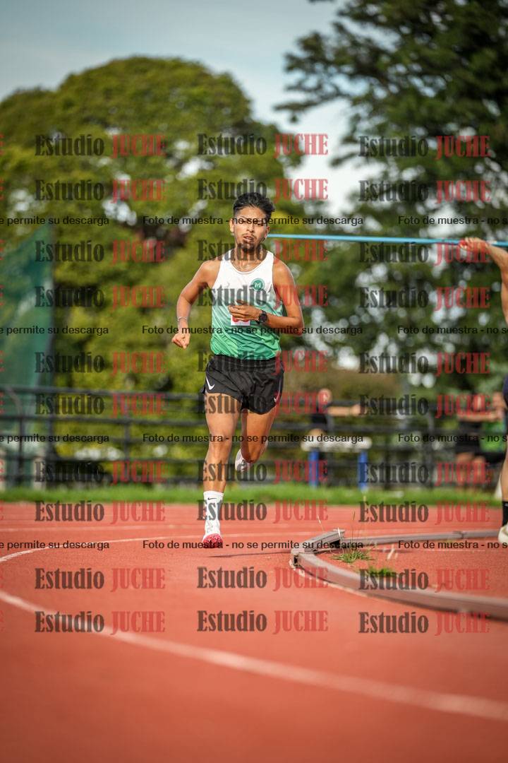 Fotos de los 5000 m llanos