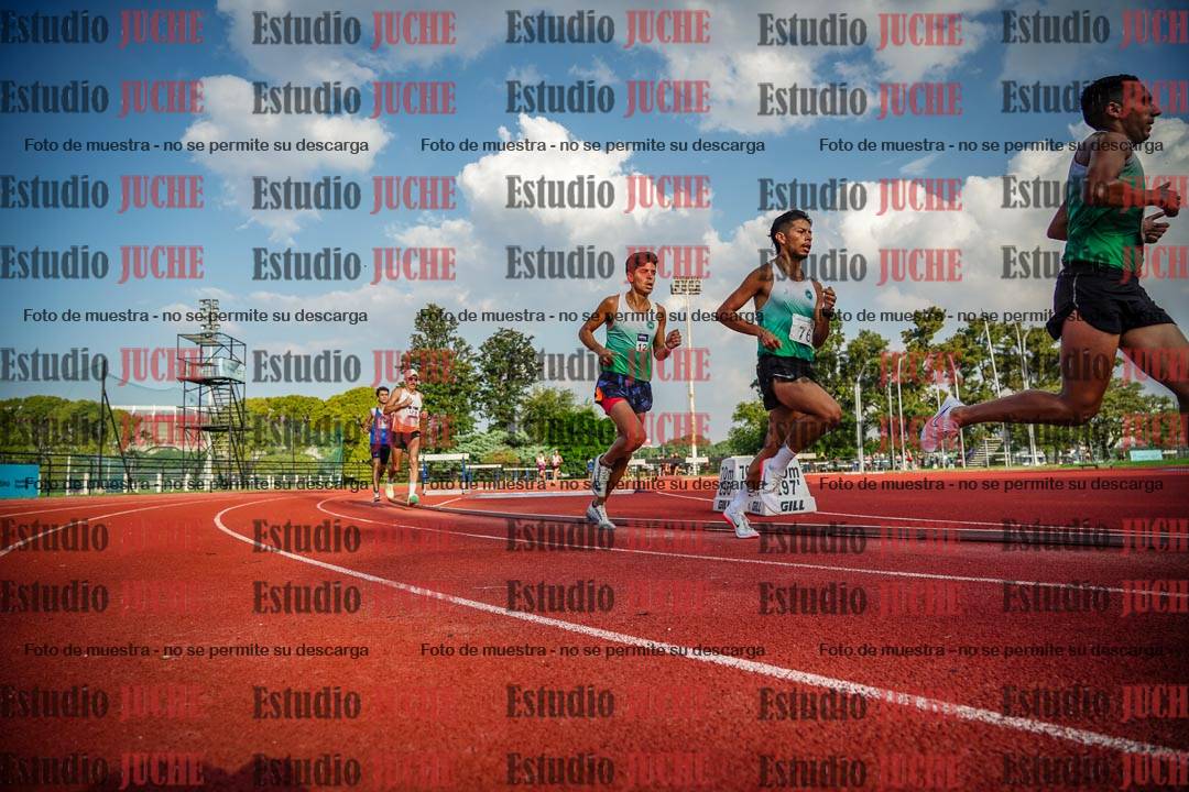 Fotos de los 3000 m llanos de varones