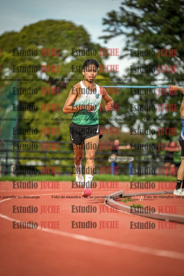 Fotos de los 5000 m llanos