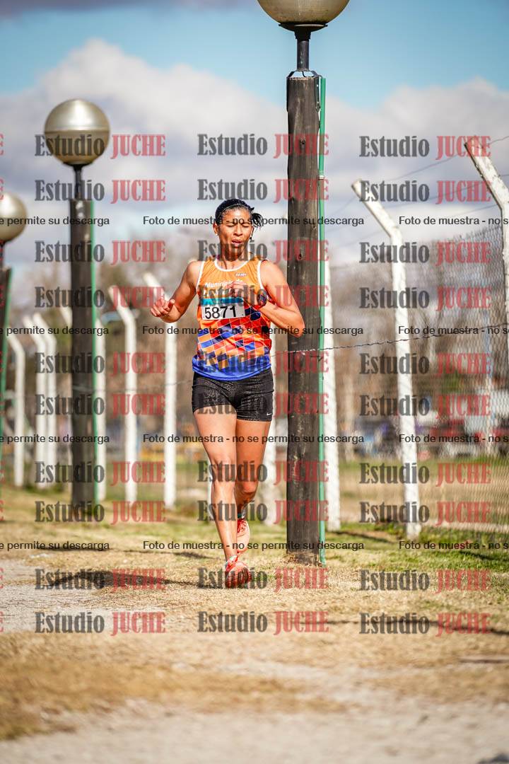 Fotos en el circuito