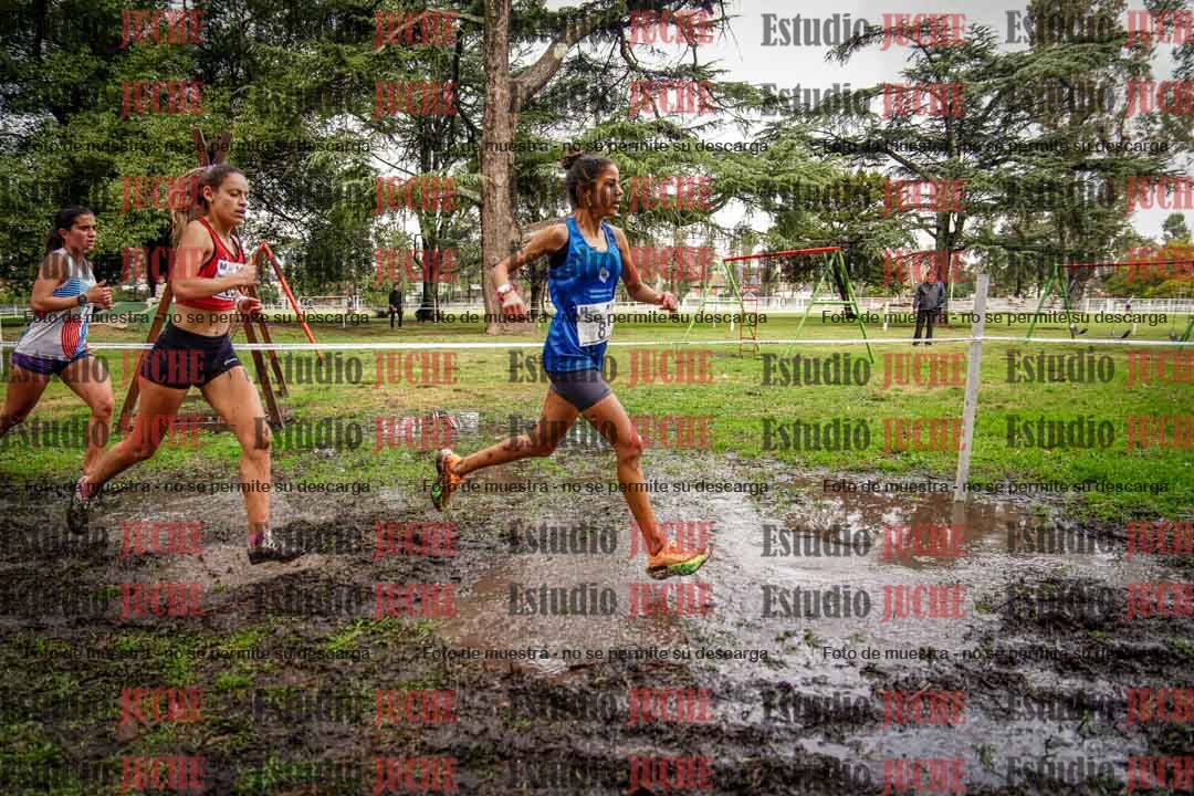 Fotos en el circuito