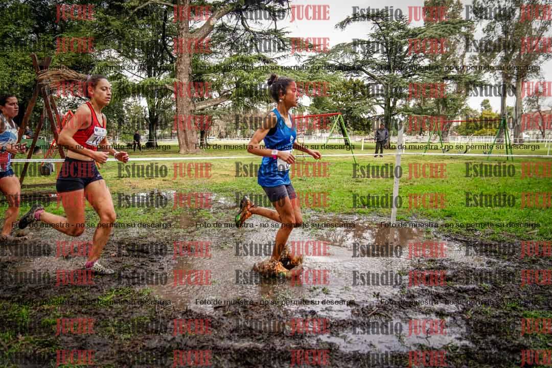 Fotos en el circuito