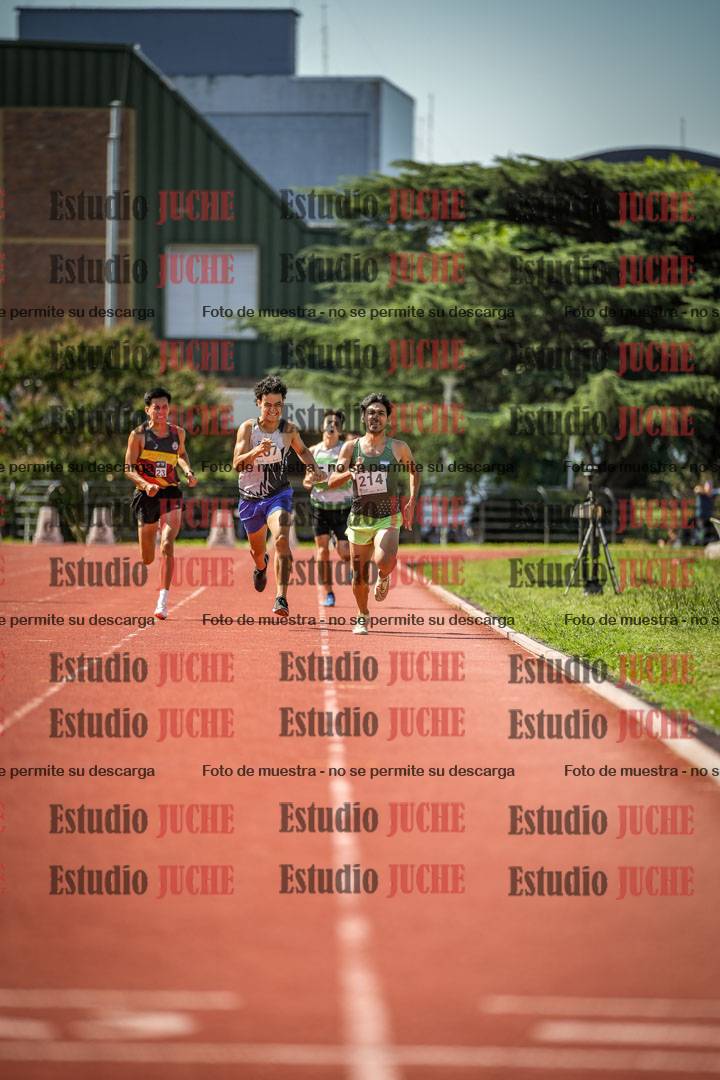 Fotos de los 800 m llanos de varones