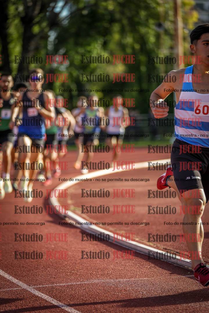 Fotos de los 1500 m llanos de varones