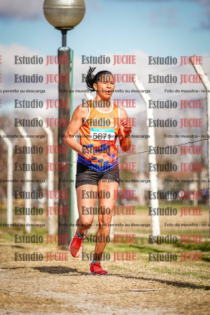 Fotos en el circuito