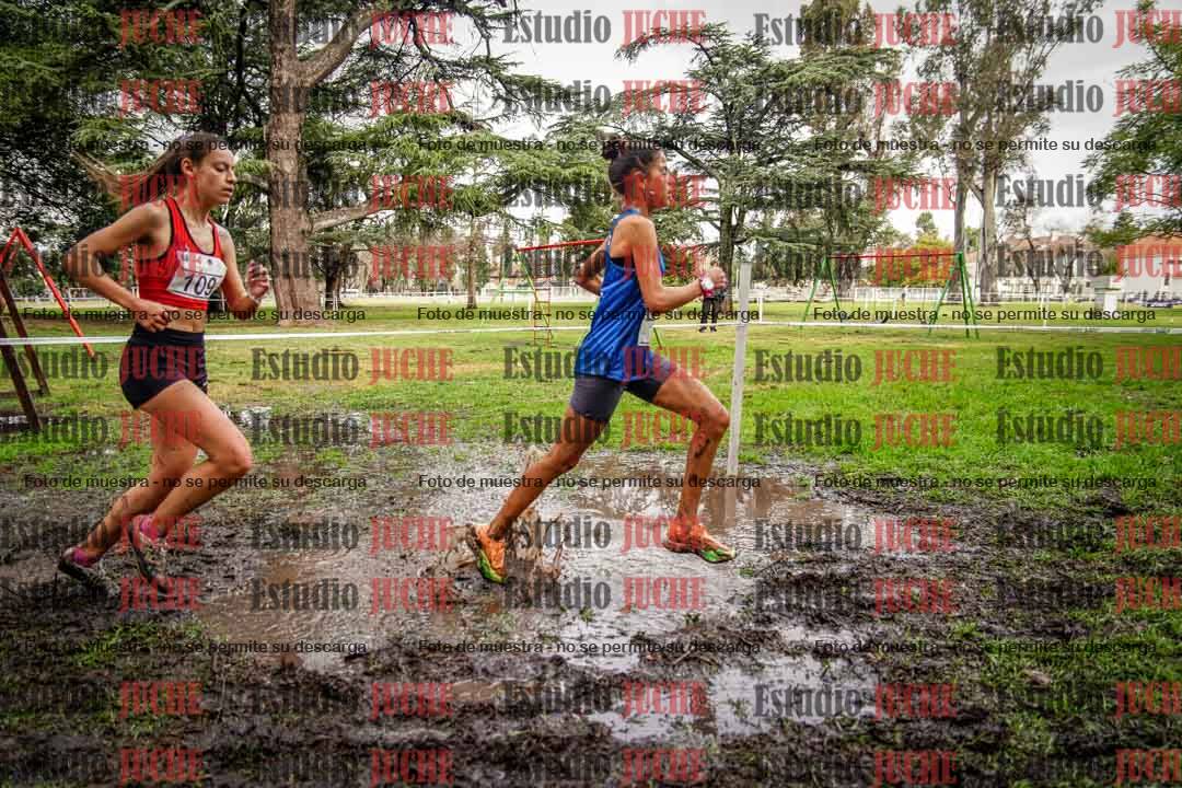Fotos en el circuito