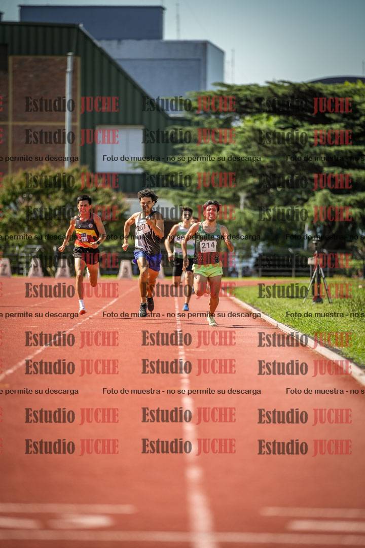 Fotos de los 800 m llanos de varones