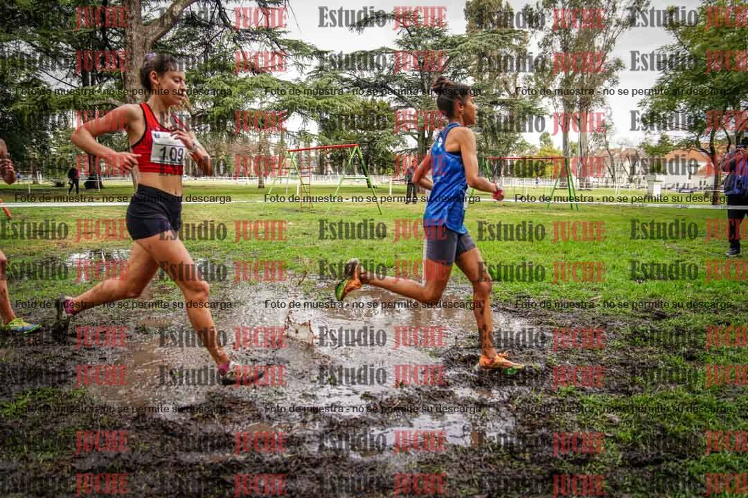 Fotos en el circuito