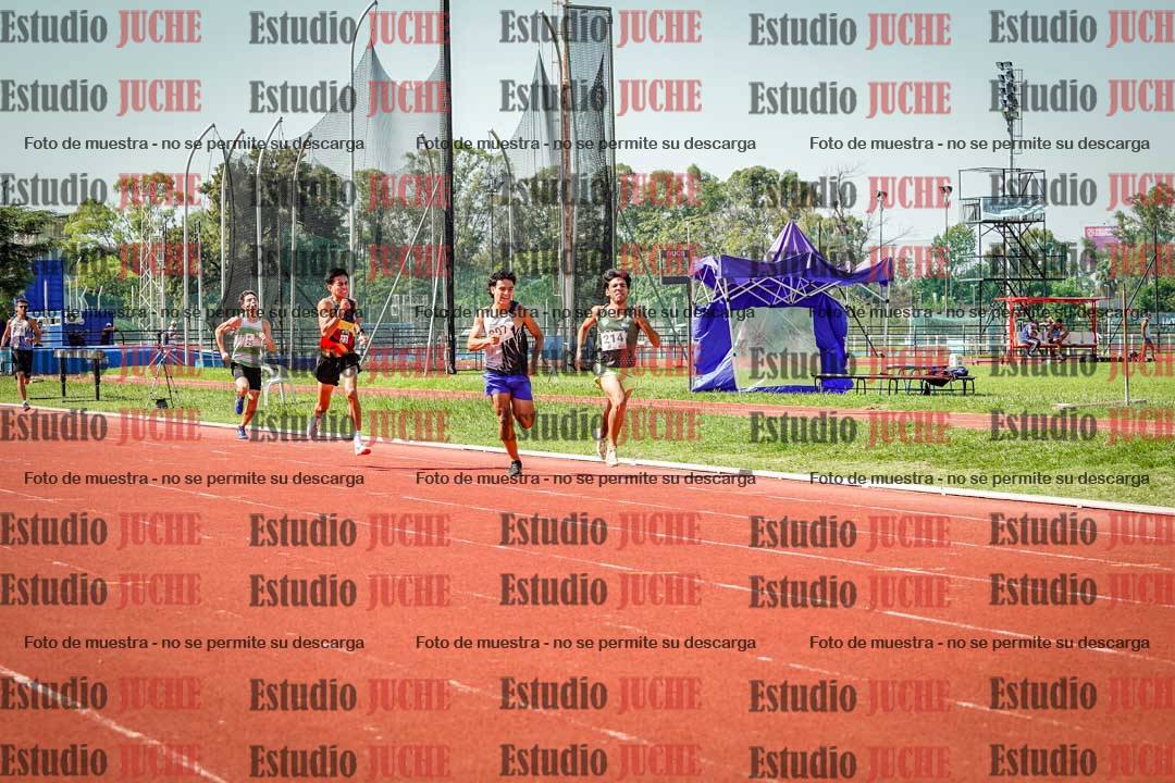 Fotos de los 800 m llanos de varones