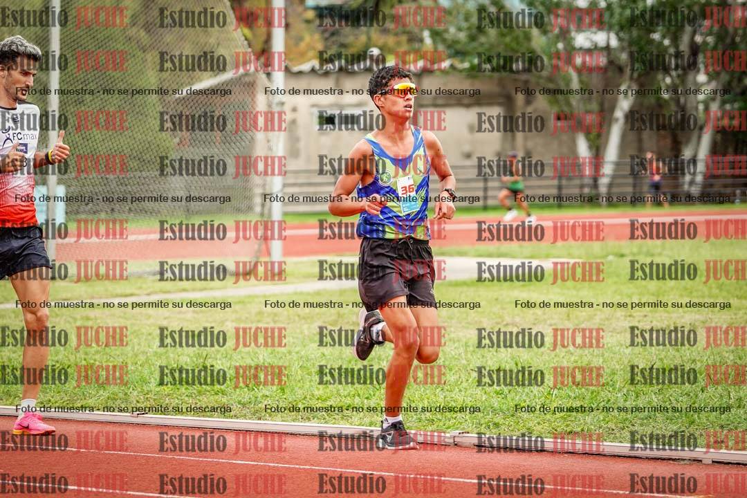 Fotos de los 3000 m llanos de varones