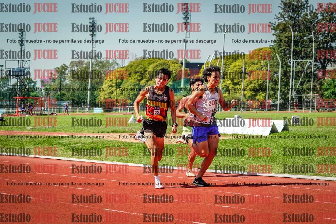 Fotos de los 800 m llanos de varones