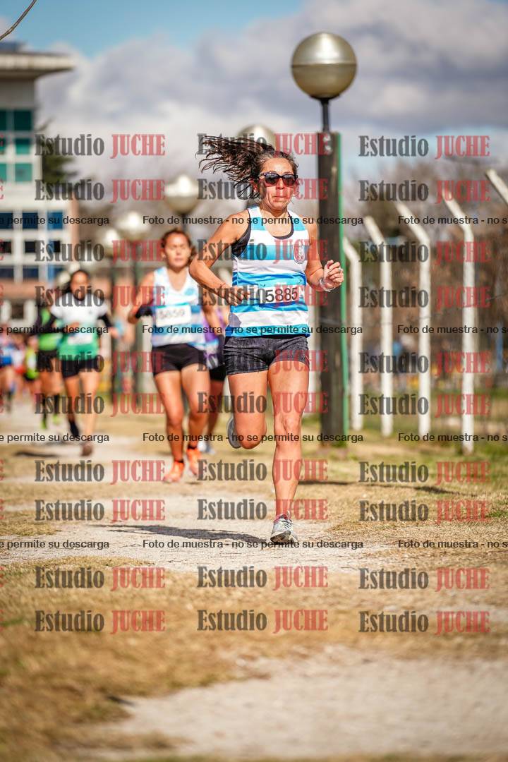 Fotos en el circuito