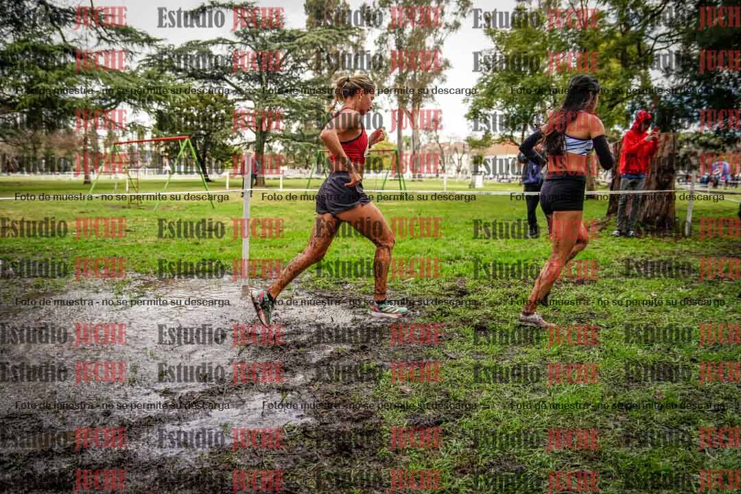 Fotos en el circuito