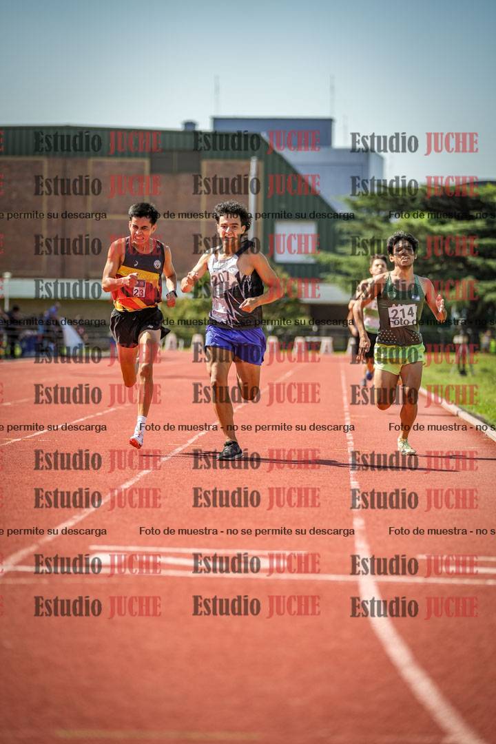 Fotos de los 800 m llanos de varones