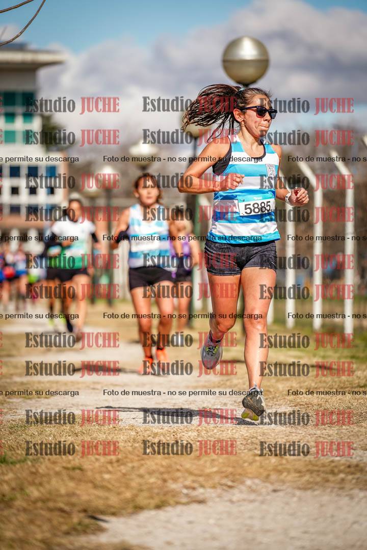Fotos en el circuito