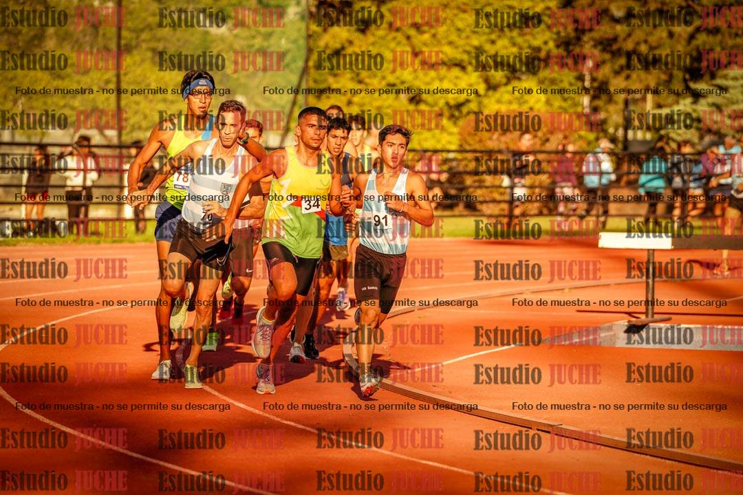 Fotos de los 3000 m llanos de varones