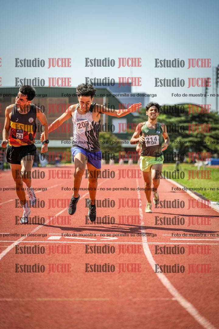 Fotos de los 800 m llanos de varones