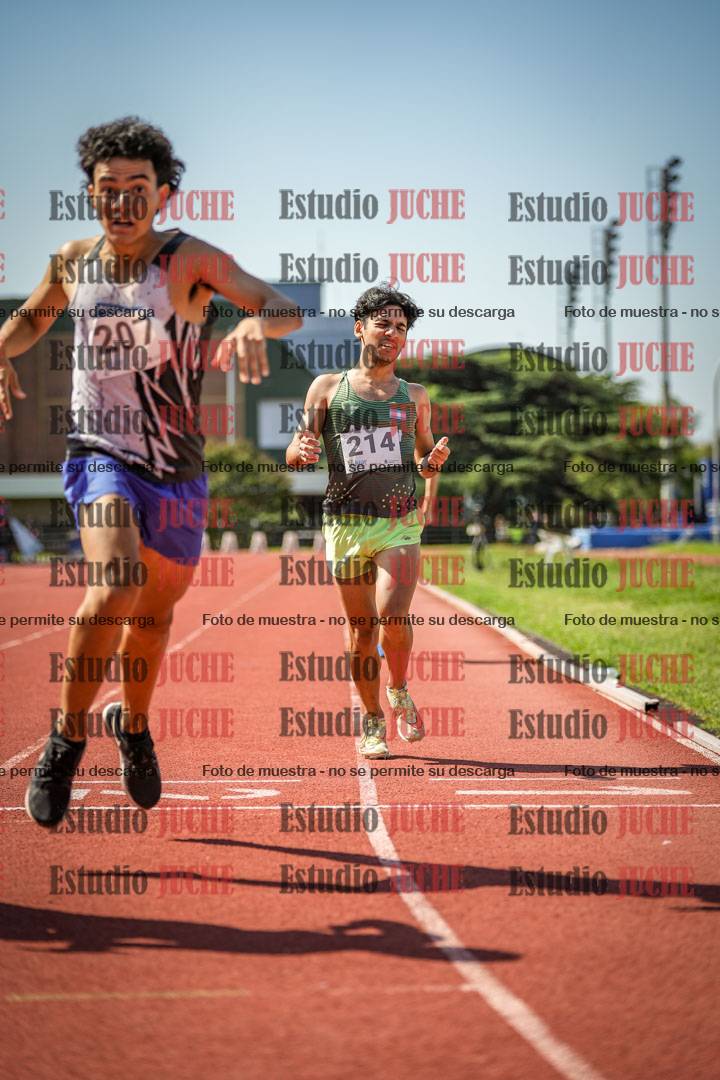 Fotos de los 800 m llanos de varones