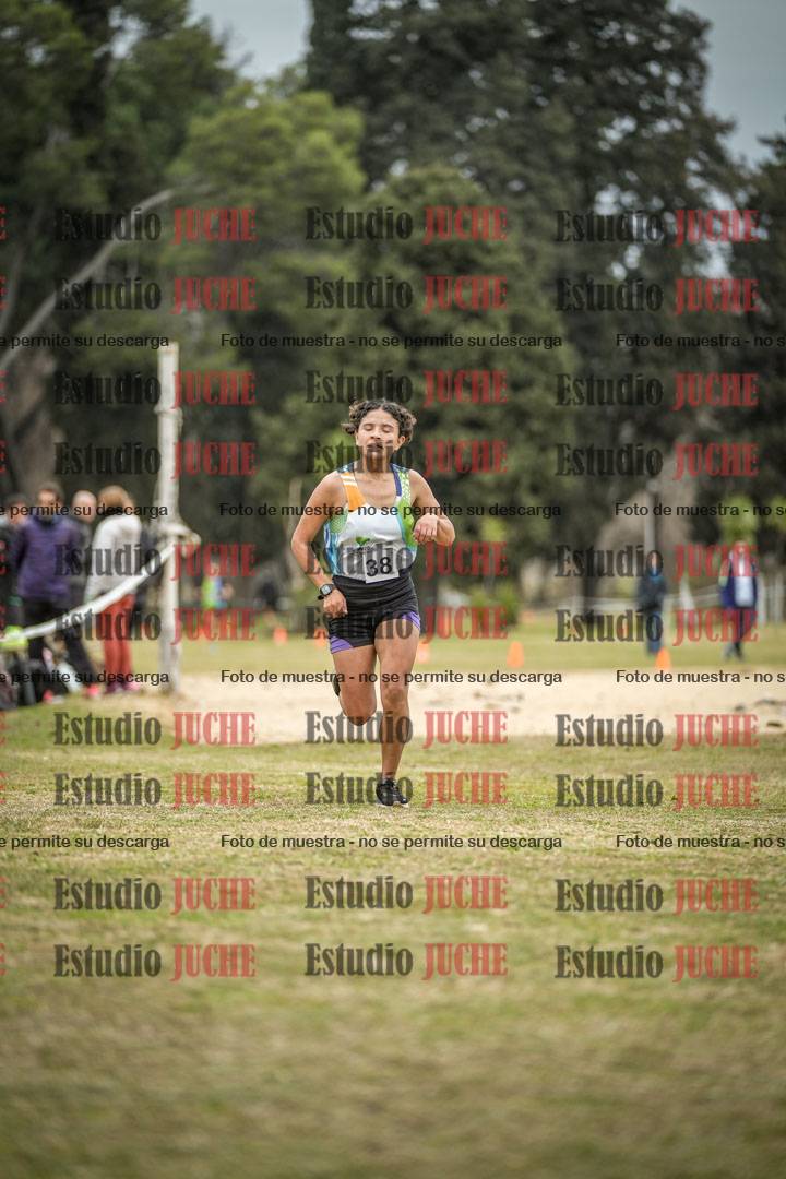 Fotos de la llegada