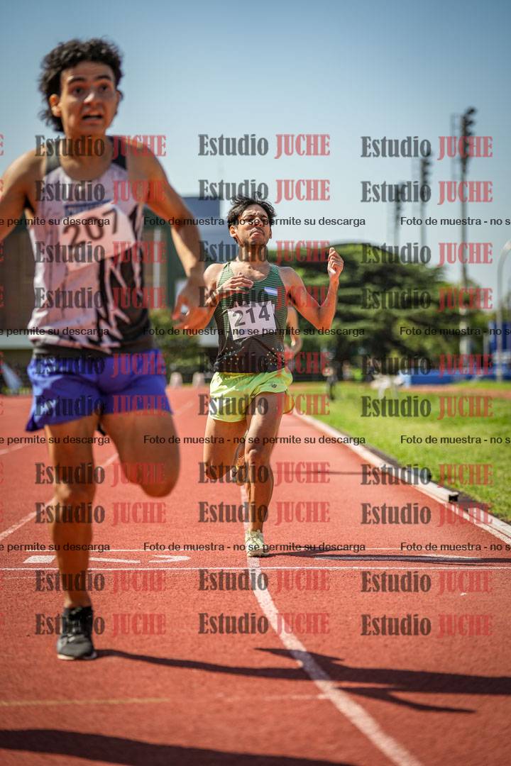 Fotos de los 800 m llanos de varones