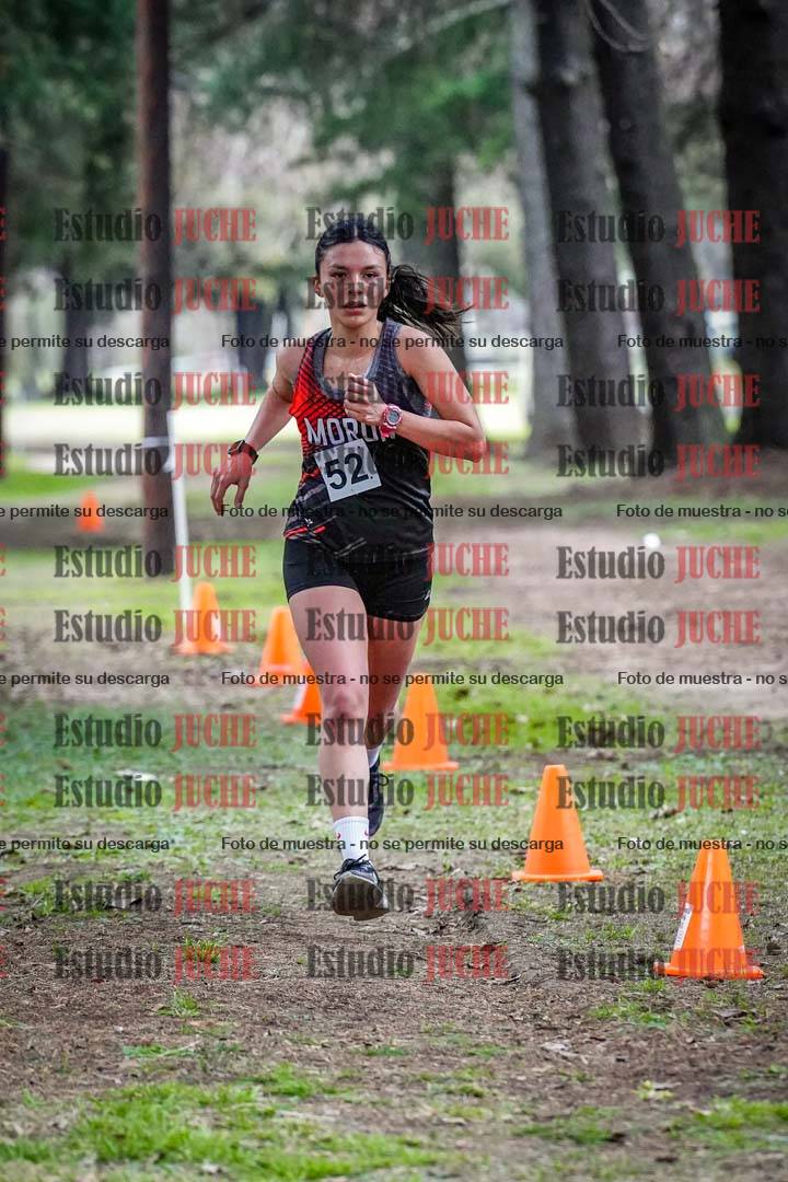 Fotos en el circuito