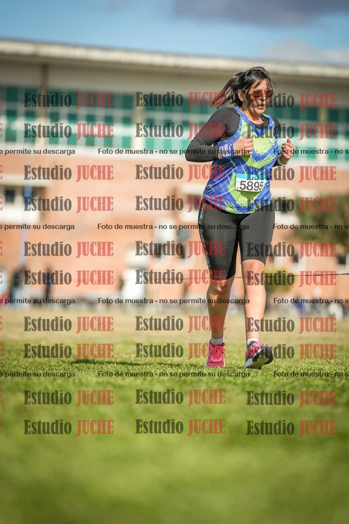 Fotos en el circuito