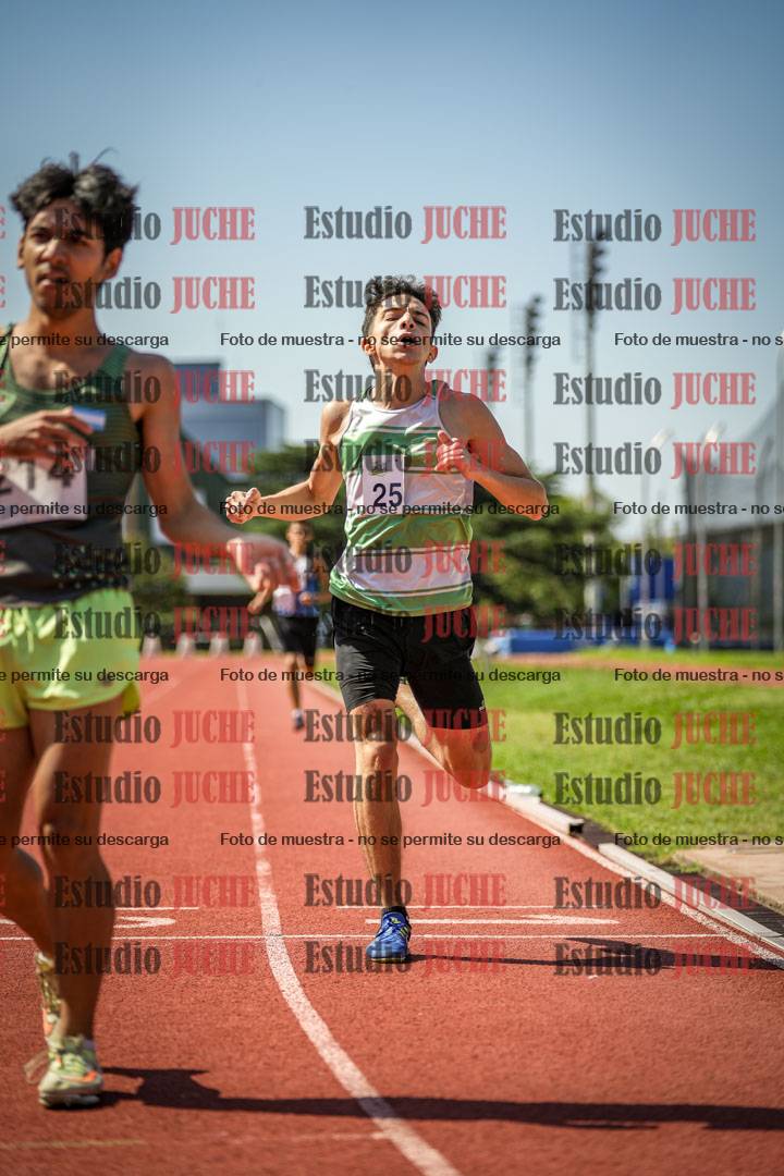 Fotos de los 800 m llanos de varones